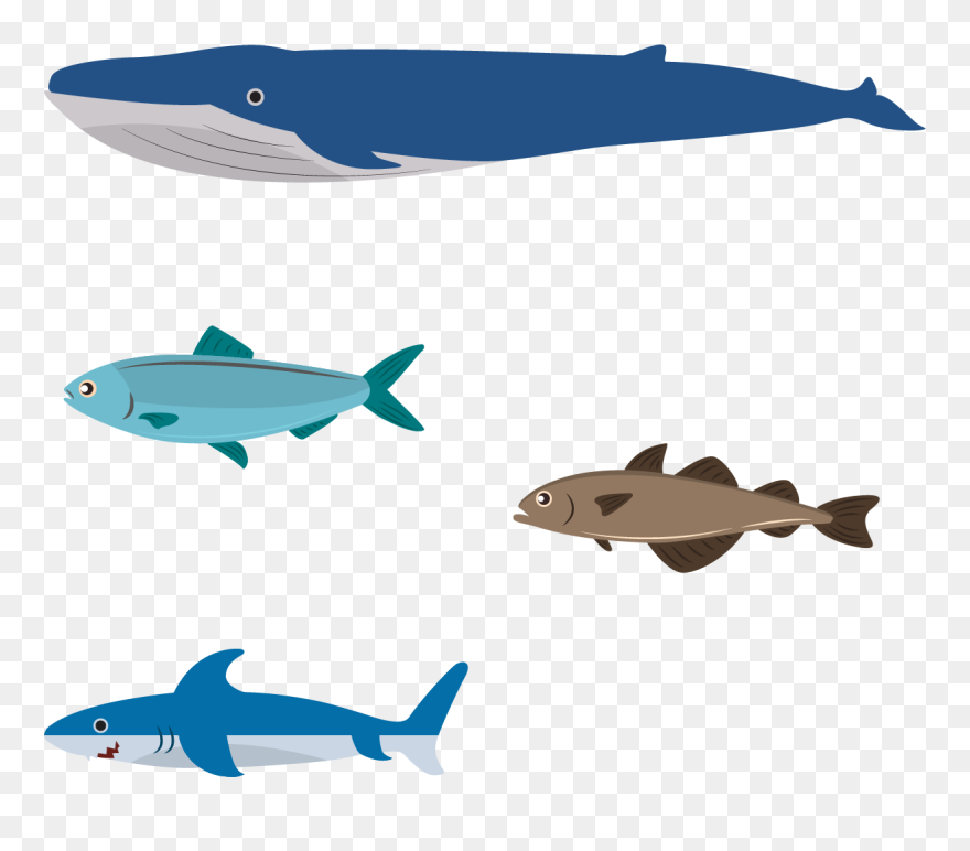 Flat Design Illustration - Flat Design Aquatic Animals Clipart