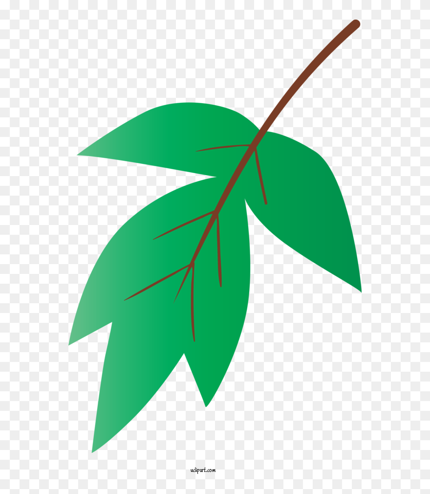 Transparent Nature Leaf Green Plant For Leaf For Nature Clipart