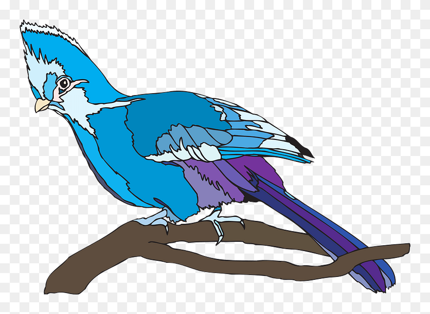 Blue Parrot Clipart - Clip Art - Png Download