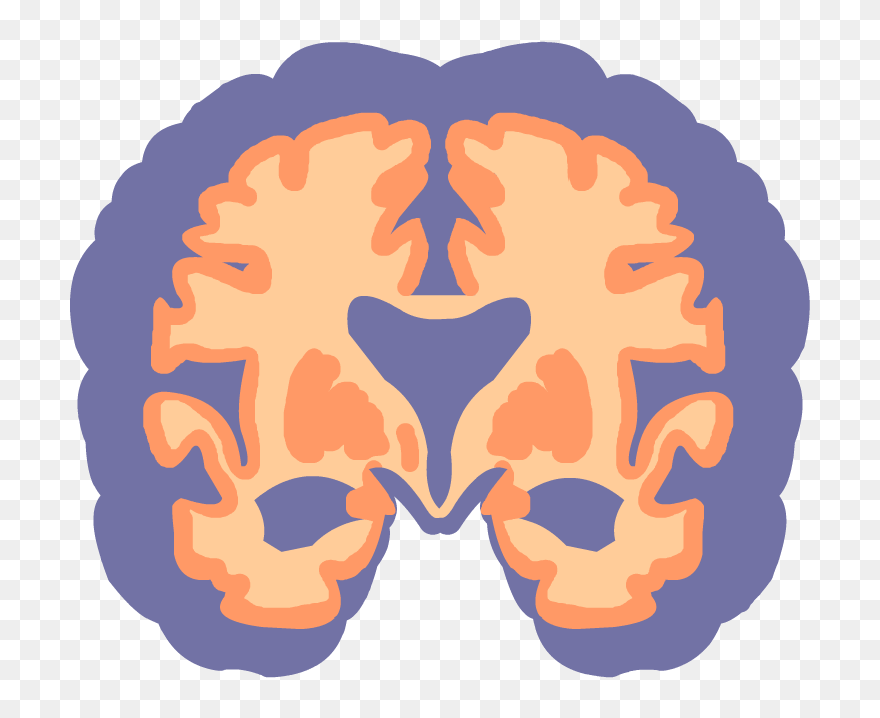 Diseases Clipart - Png Download