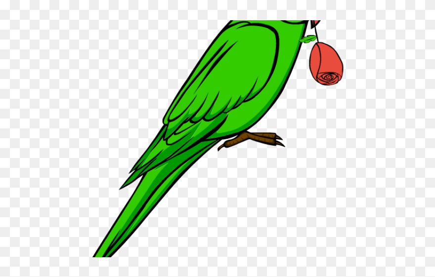 Green Transparent Parrot Clipart - Png Download