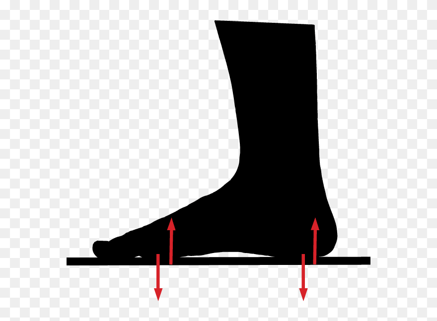 Newton's Third Law Walking Clipart