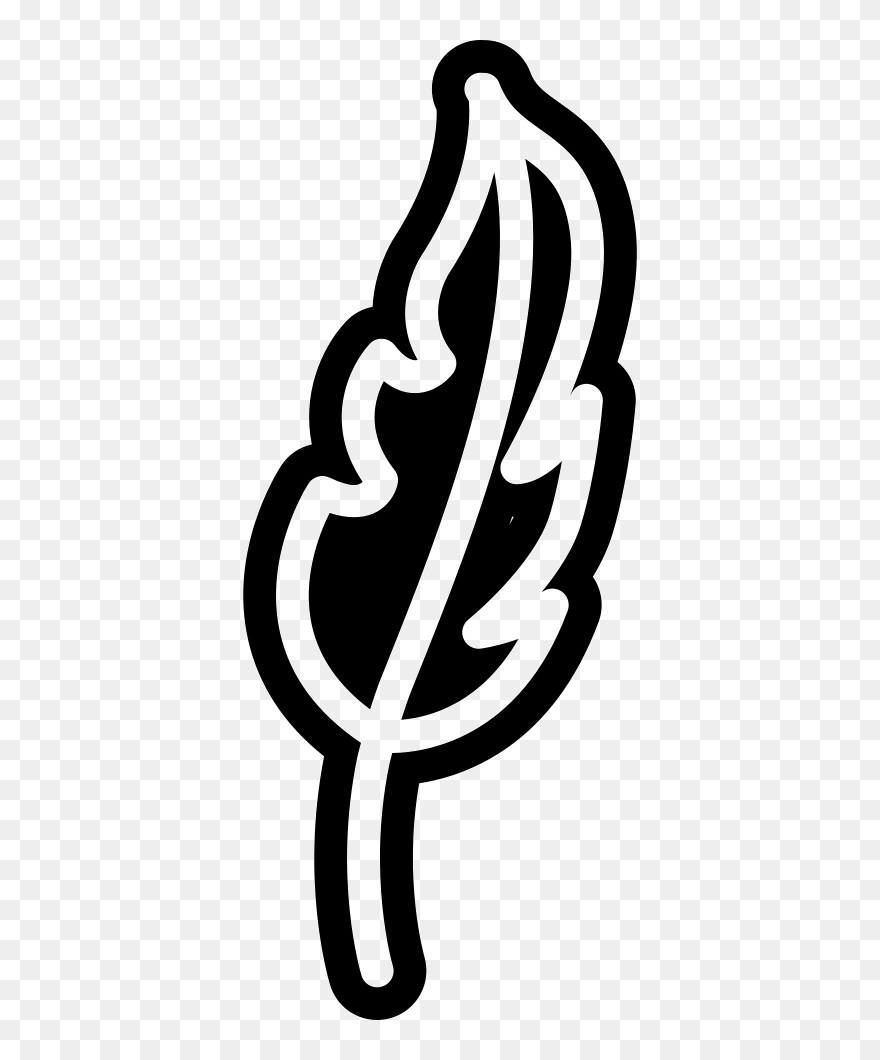 Feather Outline - Icon Clipart