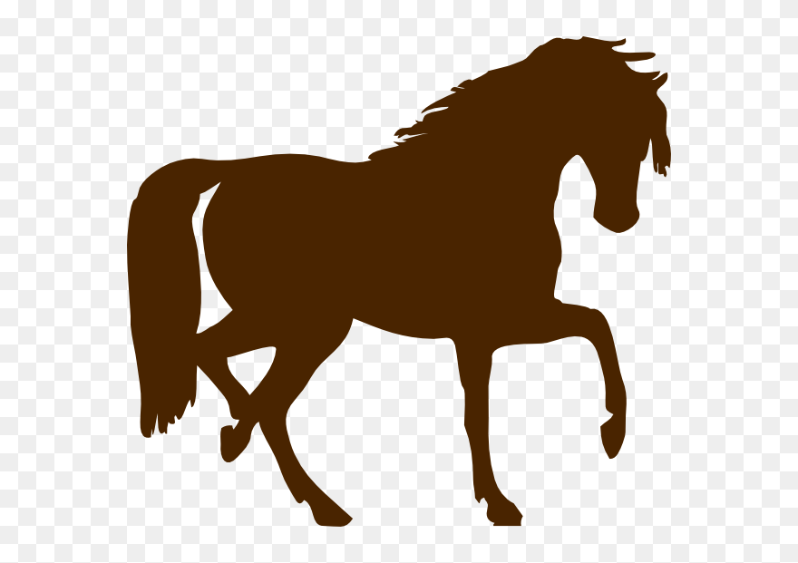 Riding Clipart Brown Horse - Horse Silhouette Clip Art - Png Download