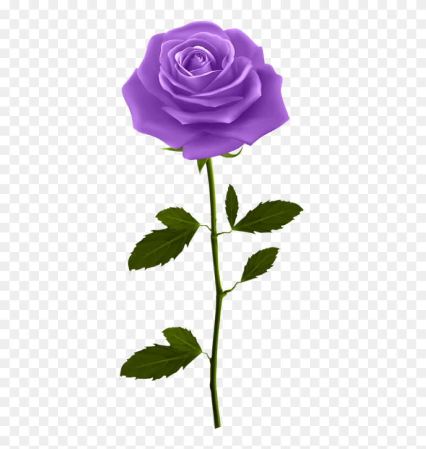 Purple Rose With Stem Clipart