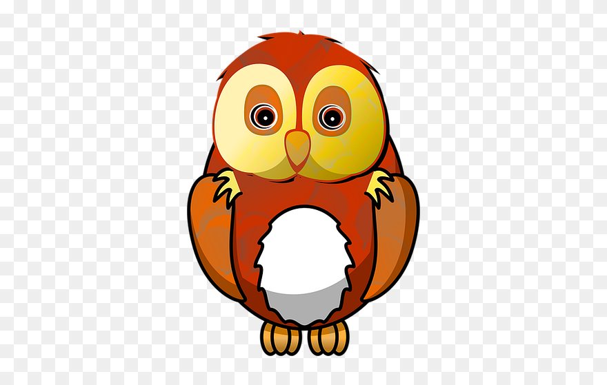 Cartoon Owl Clipart