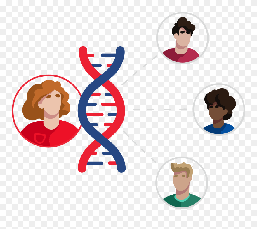 Clip Art - Png Download