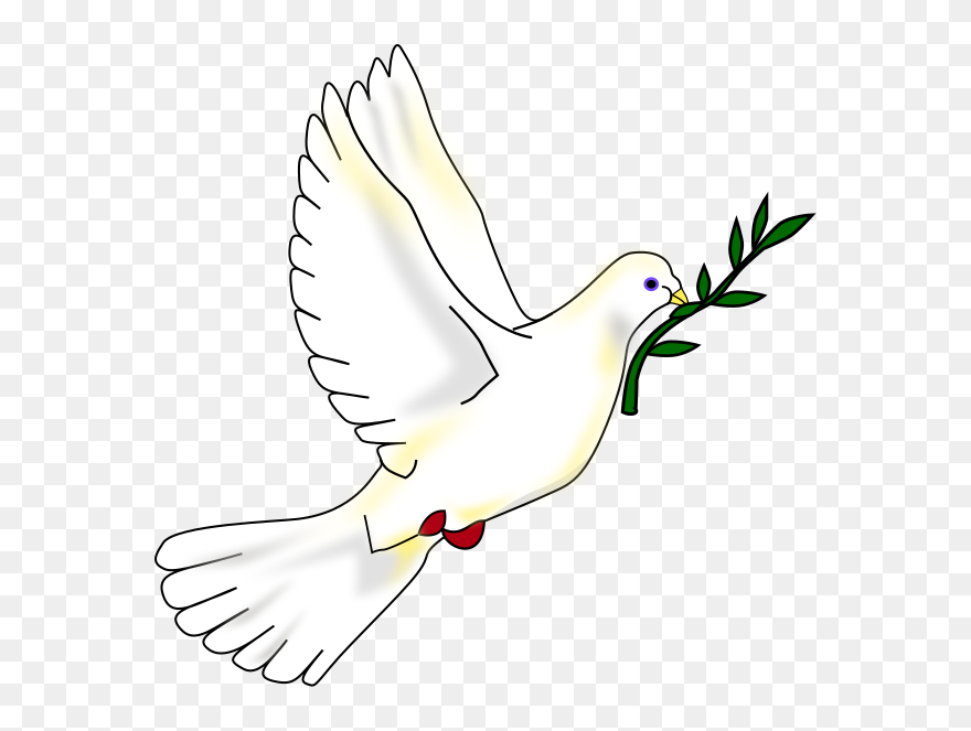 Dove Bird Peace Png Clipart
