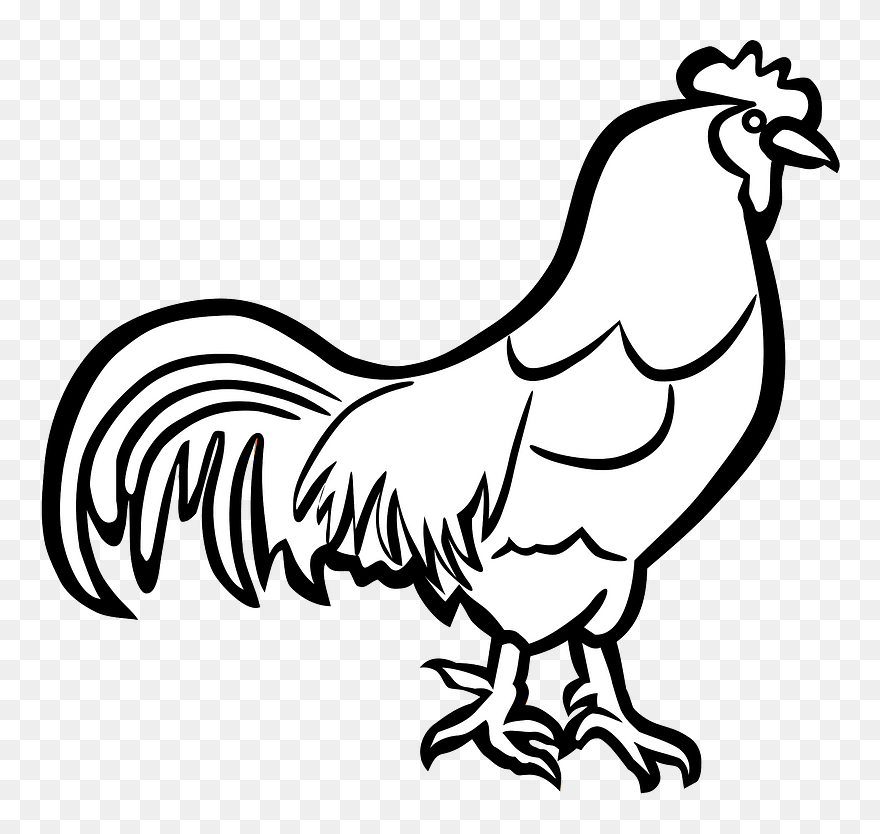 Rooster Clipart - Cock Black And White Clipart - Png Download