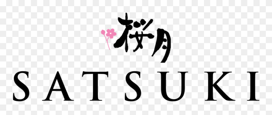 St Patrick's Cathedral Logo Clipart