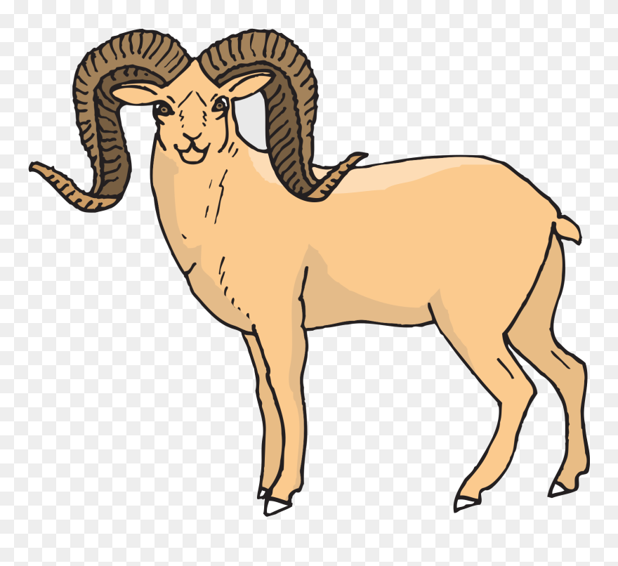 Sheep, Art, Standing, Horns, Animal, Staring, Bighorn - Desert Bighorn Sheep Clipart - Png Download
