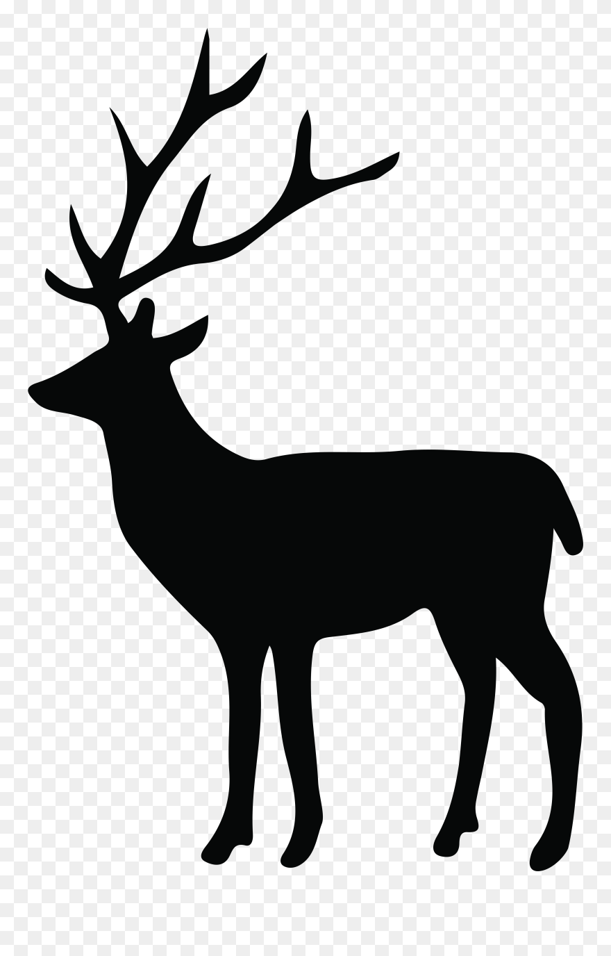 White-tailed Deer Reindeer Whitetail Images - Deer Silhouette Transparent Background Clipart