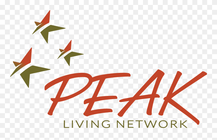 Graphic Design Clipart