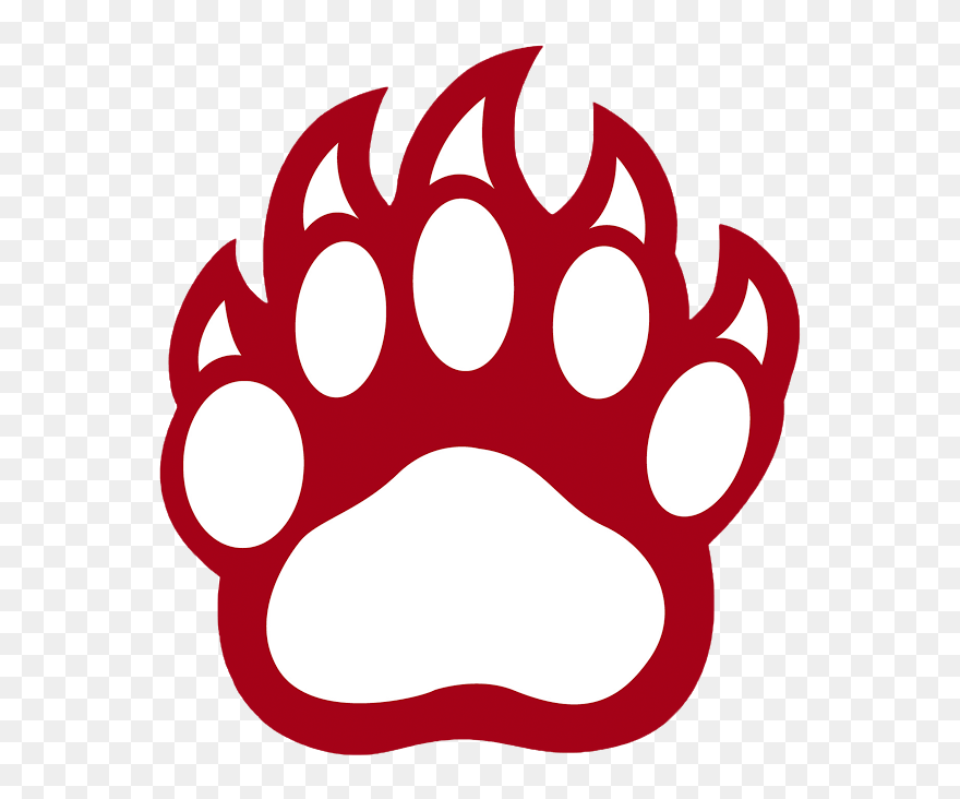 Bear Paw Print Cliparr - Png Download