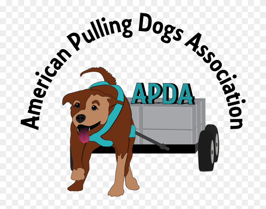 Companion Dog Clipart