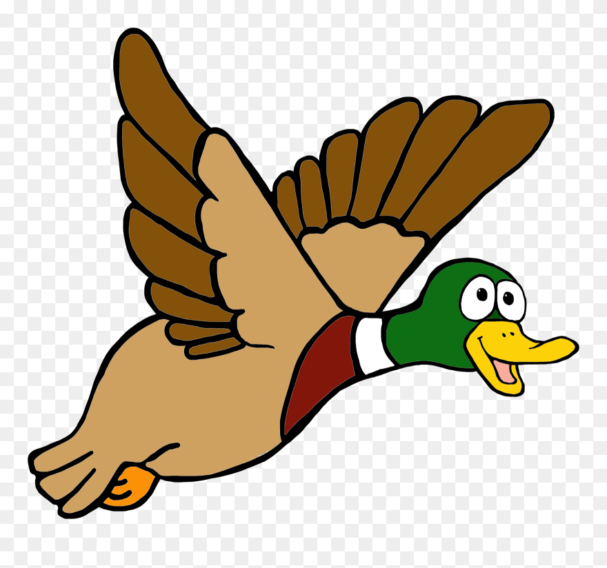 Flying Duck Clip Art - Png Download