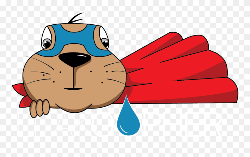 Static1 - Squarespace-1 - Illustration Clipart