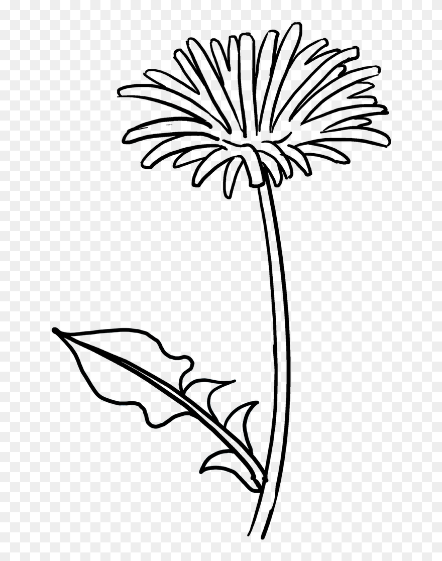 Easy Drawing Guides On Twitter Would You Like To Draw - Simple Spring Flowers Drawing Clipart