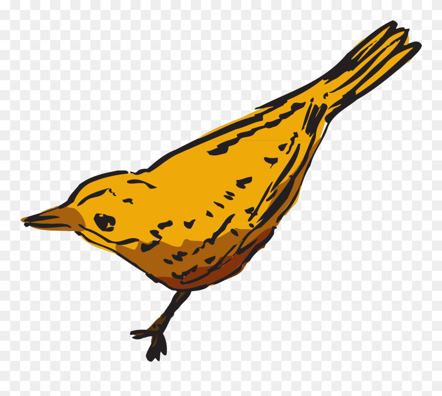 Dibujo Del Ave Dorada Clipart