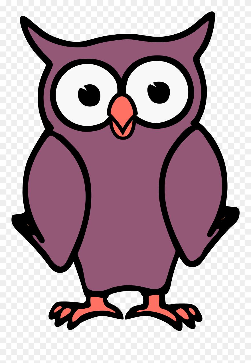Owl Png Clipart - Cartoon Photo Of Owl Transparent Png