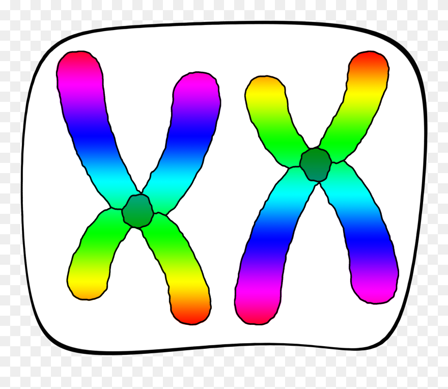 Clip Art - Png Download
