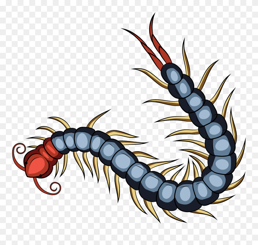 Red Chinese Centipede Clipart
