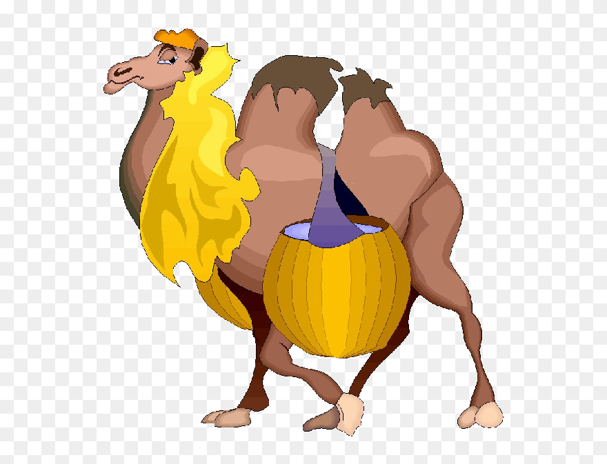 Cartoon Camel Images - Disney Kamel Clipart