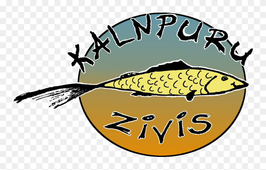 Clip Art - Png Download