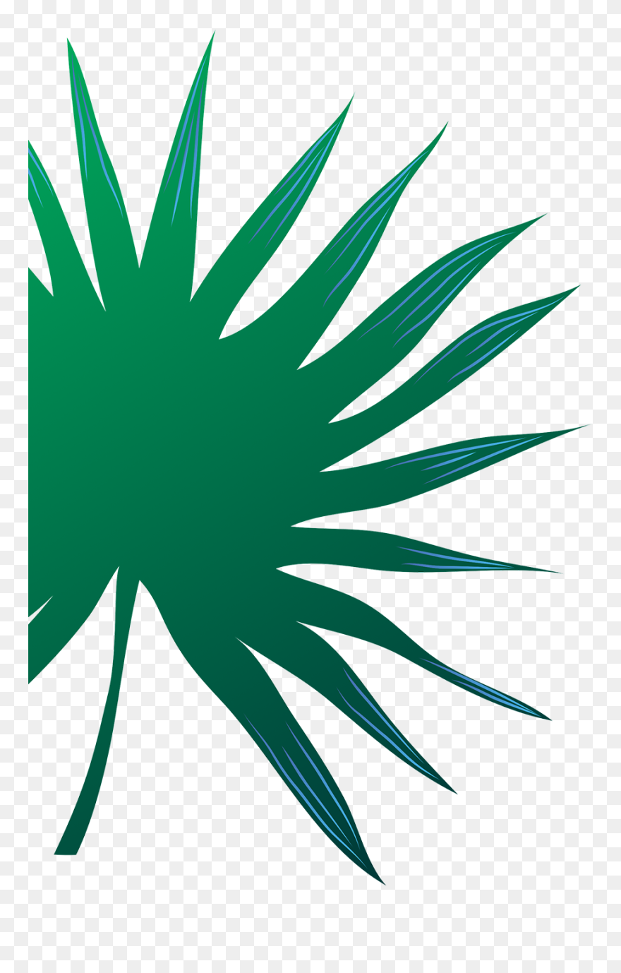 Header Leaf Image Clipart