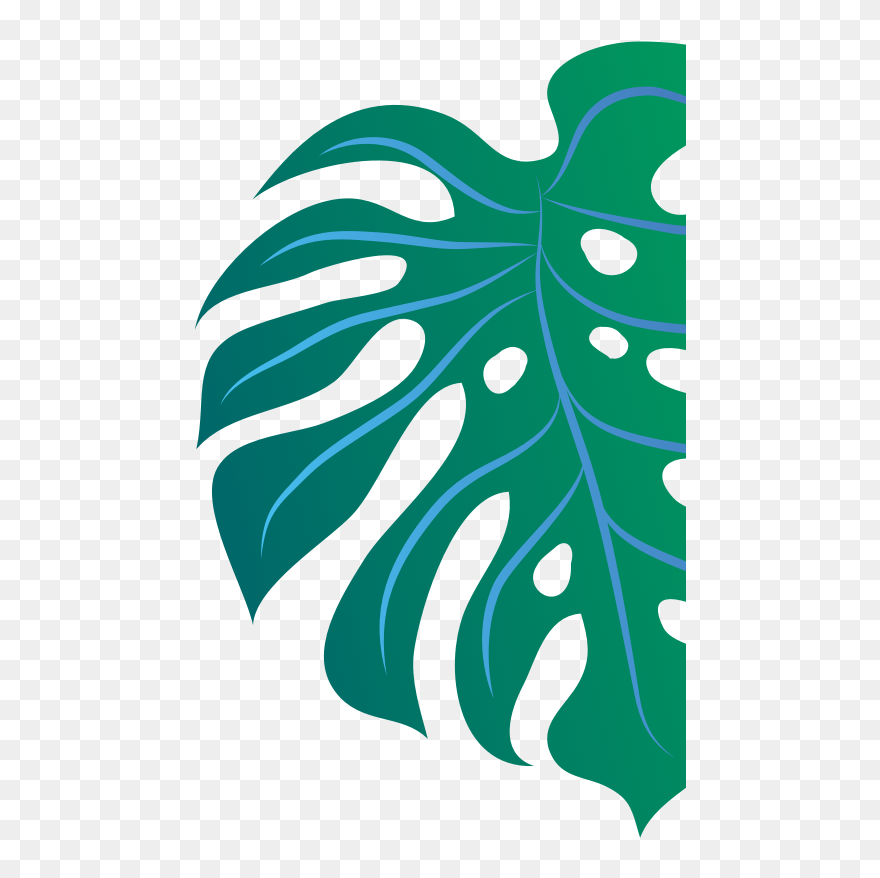 Header Leaf Image - Illustration Clipart