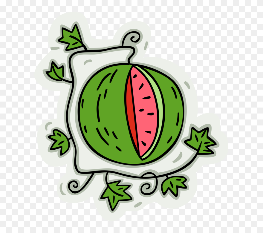 More In Same Style Group Cartoon Watermelon Vine - Watermelon Vine Clipart Transparent Background - Png Download