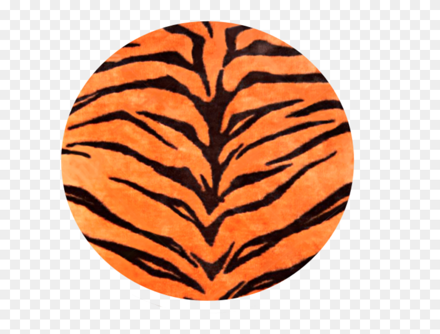 Illustration Clipart