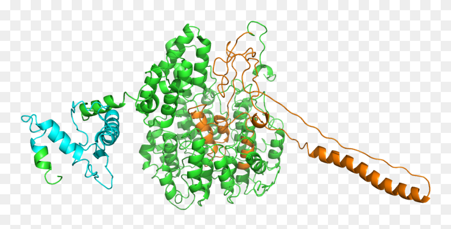 Illustration Clipart