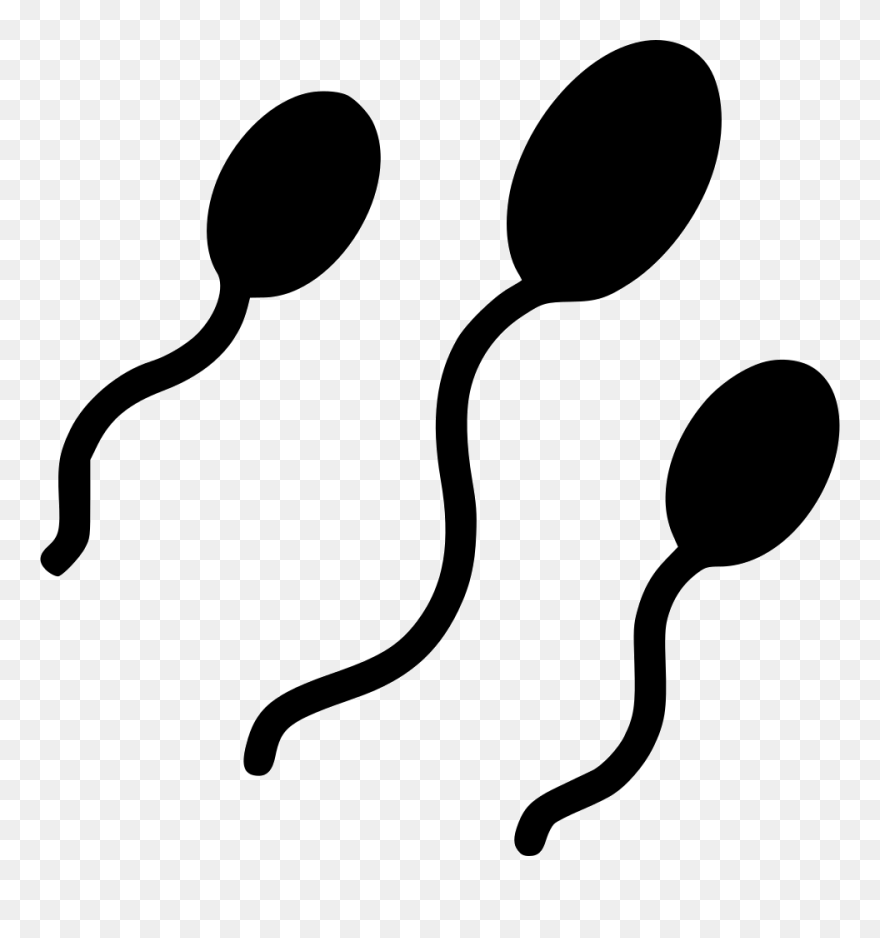 Sperm Baby Making Pregnancy Sexual Adult Reproduction - Sperm Hd Transparent Clipart