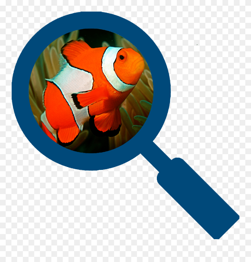 Magnifying Glass Search Button Clipart