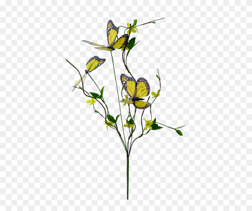 Common Tansy Clipart