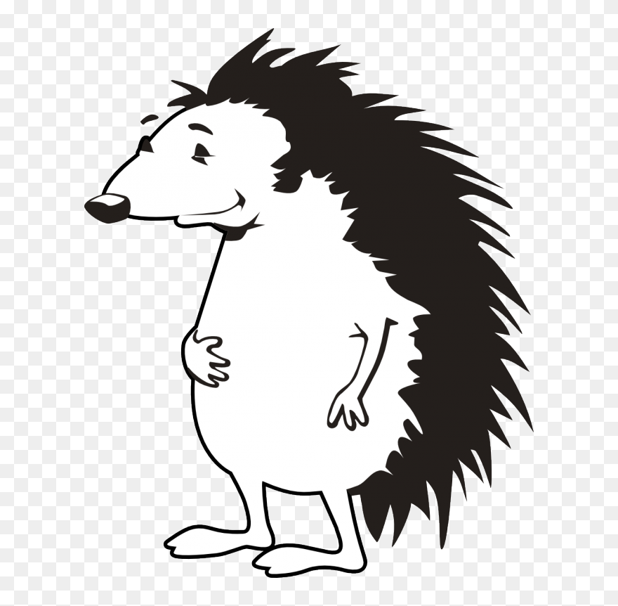 Porcupine Clip Art Free Clipart Library Free Clipart - Png Download