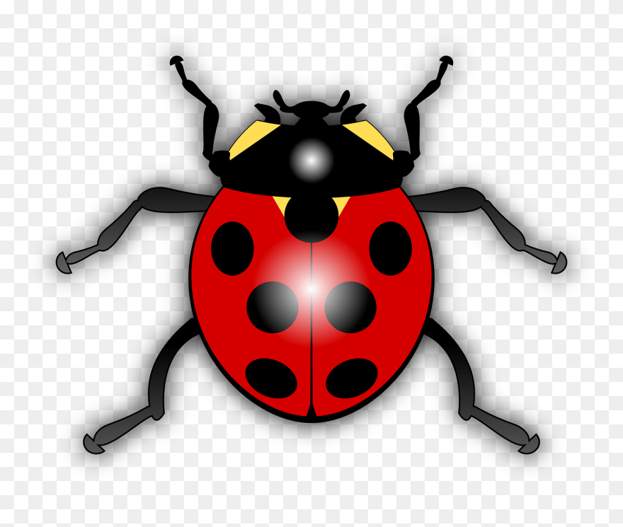 Transparent Ladybug Png - Ladybird Clipart