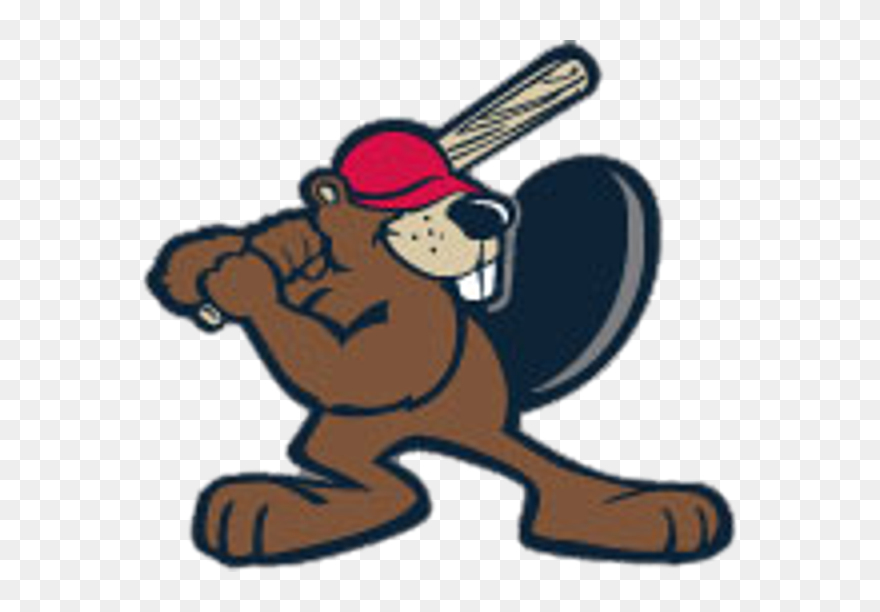 Beaver Baseball Logo Clipart