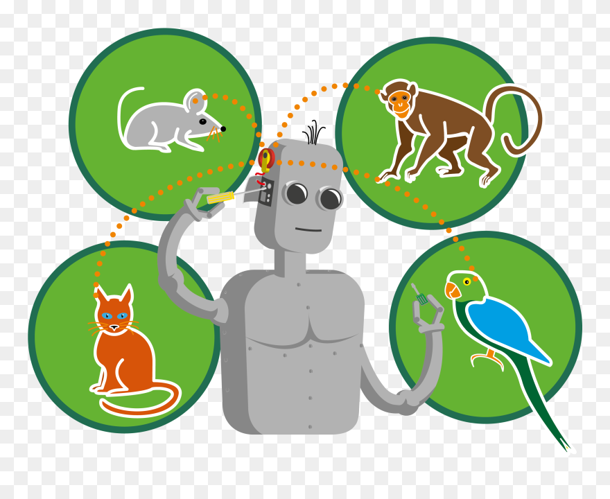 Auditory Learning In Biological And Artificial Systems - Cartoon Clipart