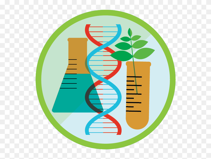 View Challenge Intro To - Genetic Engineer In Biotechnology Clipart