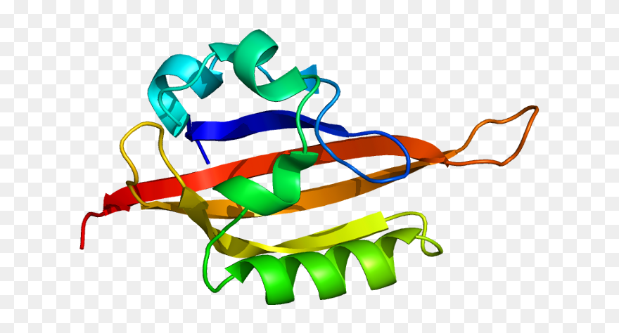 Dna Clipart Genetic Mutation - Epas1 Gene - Png Download