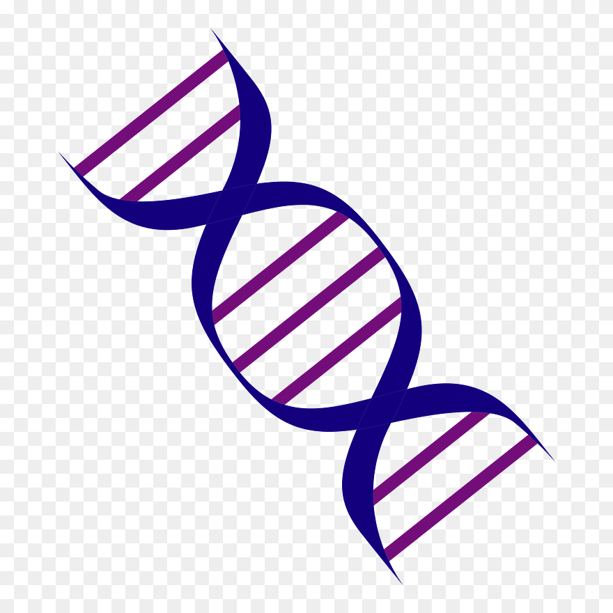 Dna Gene Clipart - 歯 周 病 の リスク ファクター - Png Download