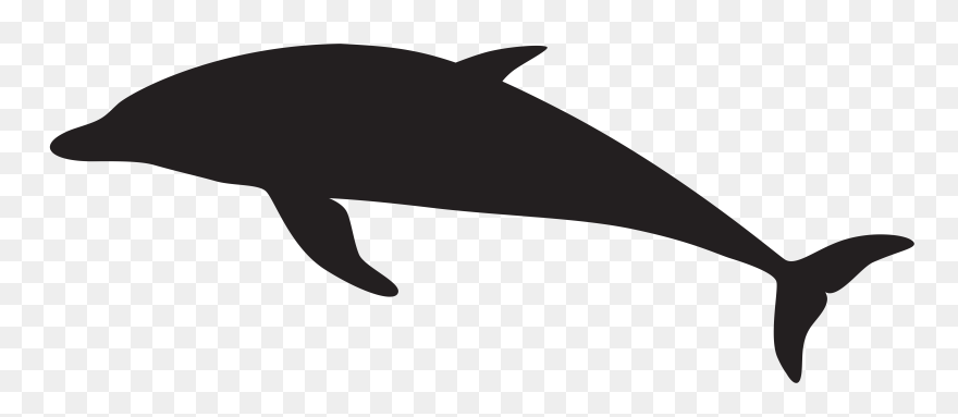 Dolphin Silhouette Png Clipart