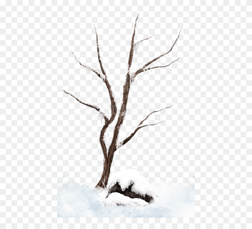 Free Png Download Brown Winter Snowy Treepicture Png - Png Clipart Snowy Tree Branch Png Transparent Png