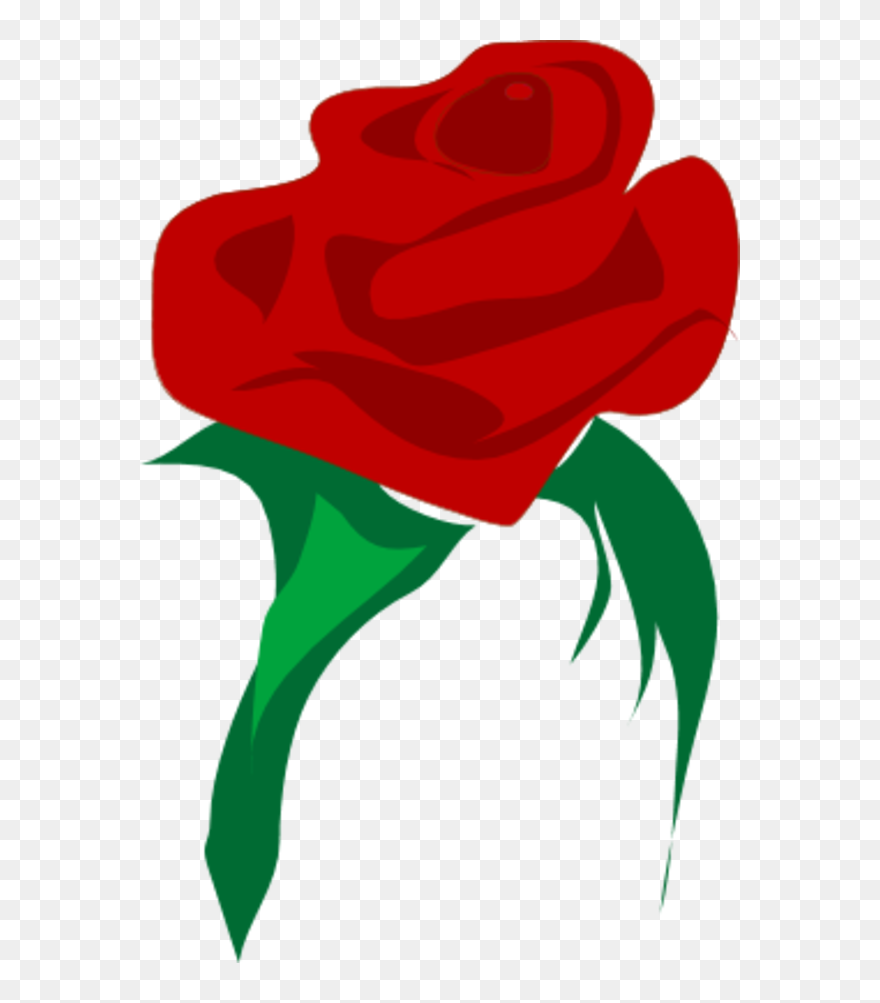 Rose Flower Red Clip Art - Vector Free Png Rose Red Transparent Png