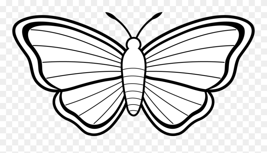 Butterfly Clip Art Black And White Free Clipart - Kids Colouring Pages Butterfly - Png Download
