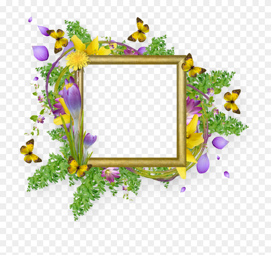 Flower Butterfly Border Design Clipart