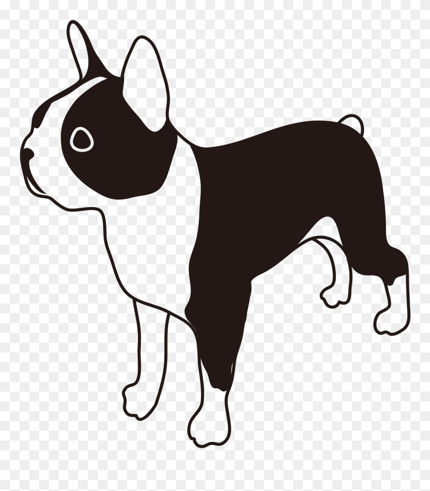Boston Terrier Puppy Dog Breed French Bulldog - Cartoon Boston Terrier Transparent Clipart