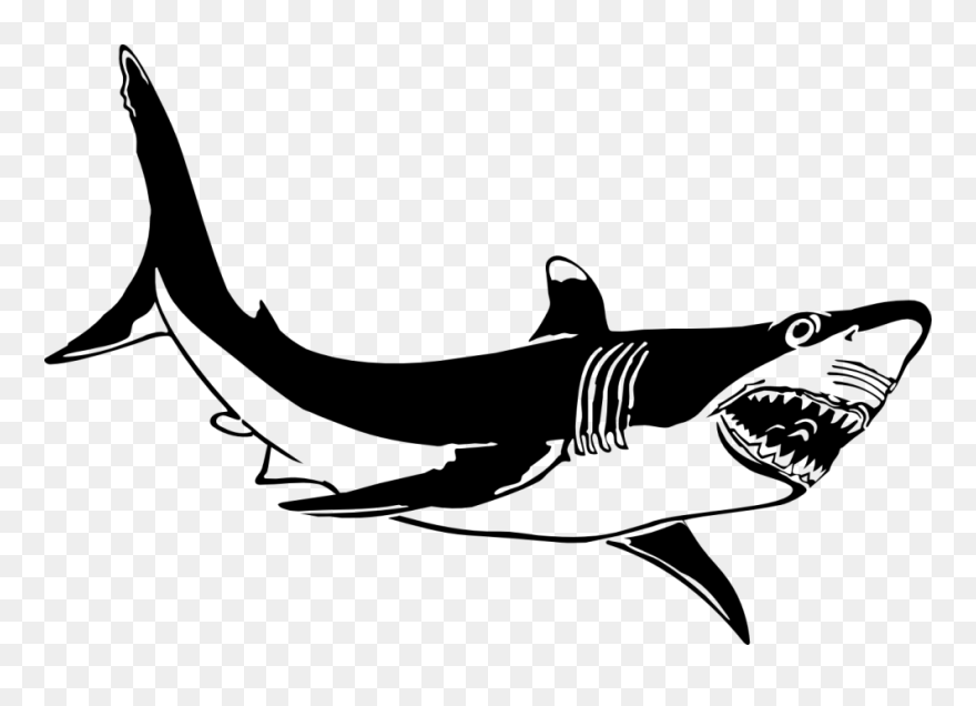 Great White Shark Shark Jaws Clip Art Great White Shark Clipart Png